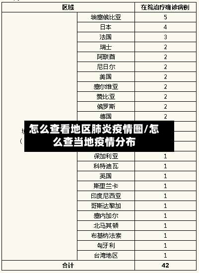 怎么查看地区肺炎疫情图/怎么查当地疫情分布-第3张图片