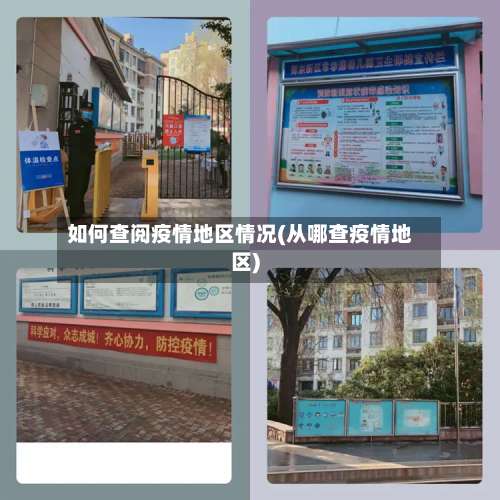 如何查阅疫情地区情况(从哪查疫情地区)-第2张图片