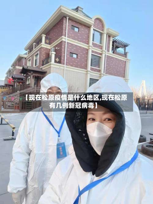 【现在松原疫情是什么地区,现在松原有几例新冠病毒】-第2张图片