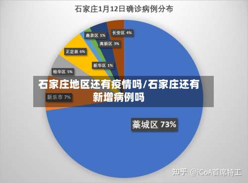 石家庄地区还有疫情吗/石家庄还有新增病例吗-第3张图片