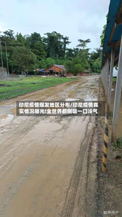 印尼疫情爆发地区分布/印尼疫情真实情况曝光!全世界都倒吸一口冷气-第2张图片