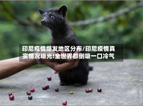 印尼疫情爆发地区分布/印尼疫情真实情况曝光!全世界都倒吸一口冷气-第1张图片