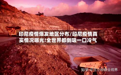 印尼疫情爆发地区分布/印尼疫情真实情况曝光!全世界都倒吸一口冷气-第3张图片