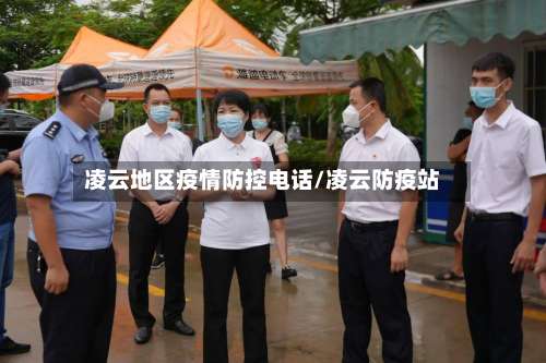 凌云地区疫情防控电话/凌云防疫站-第2张图片