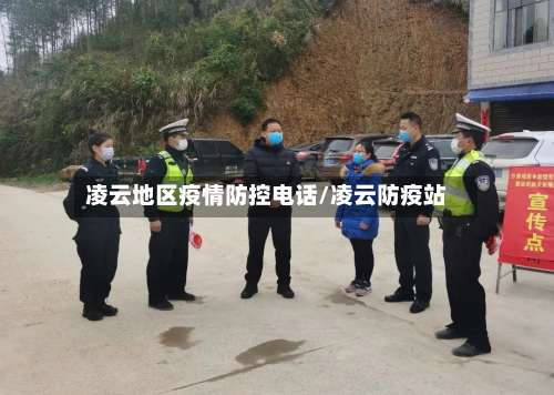 凌云地区疫情防控电话/凌云防疫站-第1张图片