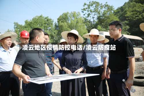凌云地区疫情防控电话/凌云防疫站-第3张图片
