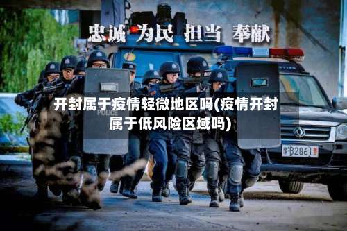 开封属于疫情轻微地区吗(疫情开封属于低风险区域吗)-第2张图片