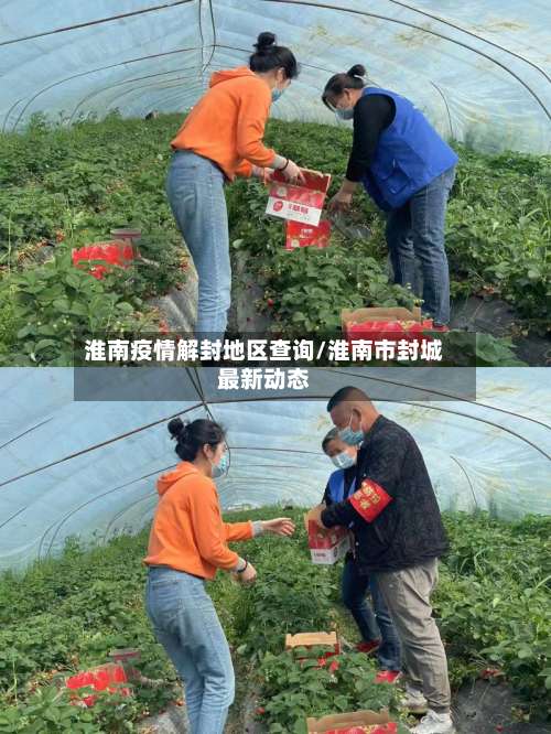 淮南疫情解封地区查询/淮南市封城最新动态-第1张图片