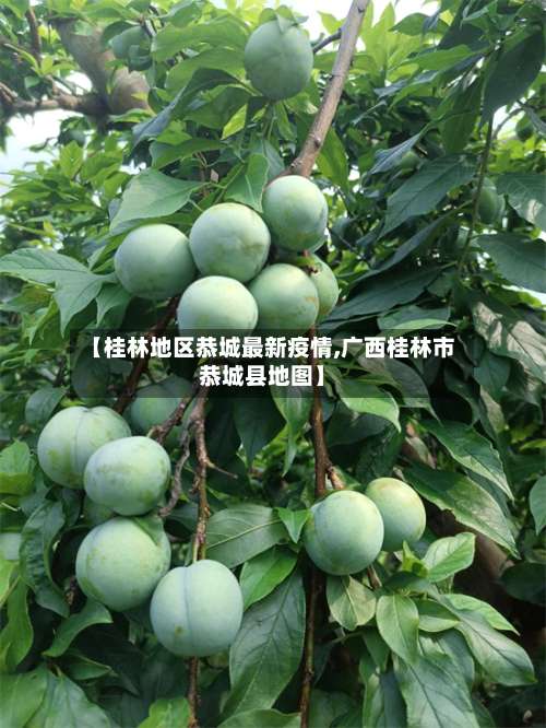 【桂林地区恭城最新疫情,广西桂林市恭城县地图】-第1张图片