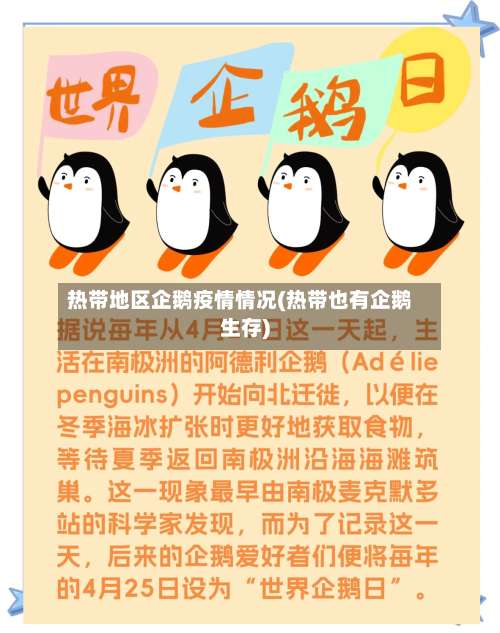 热带地区企鹅疫情情况(热带也有企鹅生存)-第1张图片
