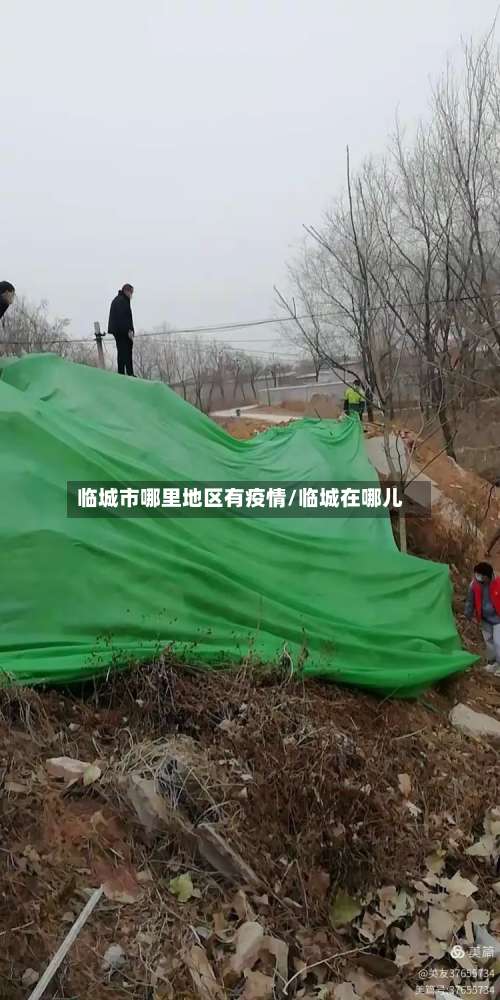 临城市哪里地区有疫情/临城在哪儿-第2张图片