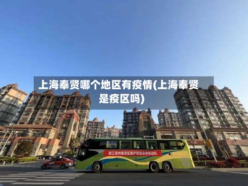 上海奉贤哪个地区有疫情(上海奉贤是疫区吗)-第2张图片