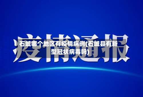 石城哪个地区有疫情病例(石城县有新型冠状病毒吗)-第3张图片