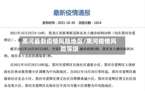 黑河最新疫情风险地区/黑河疫情风险等级-第2张图片