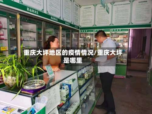 重庆大坪地区的疫情情况/重庆大坪是哪里-第2张图片
